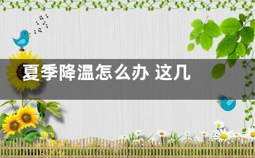 夏季降温怎么办 这几种瓜一定要多吃哦！